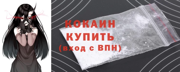 мдпв Каменка
