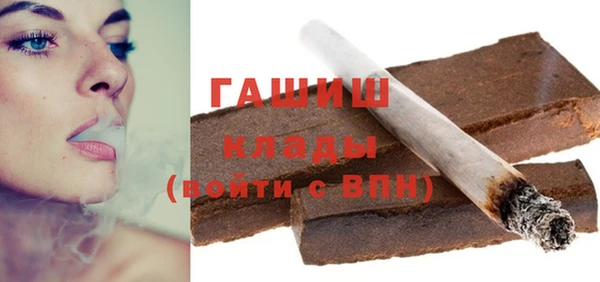 мдпв Каменка