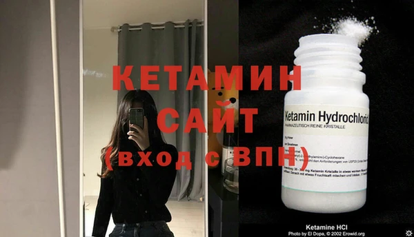 стафф Каменногорск
