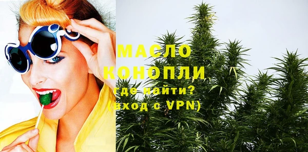 мдпв Каменка