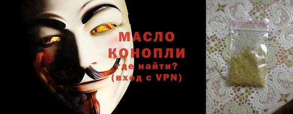 мдпв Каменка