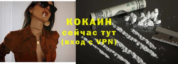 стафф Каменногорск