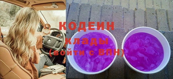 мдпв Каменка