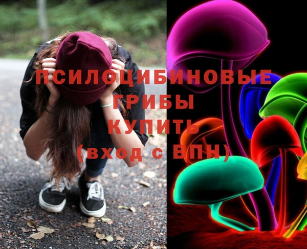 стафф Каменногорск