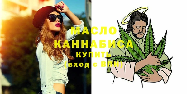 мдпв Каменка