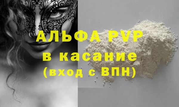 мдпв Каменка