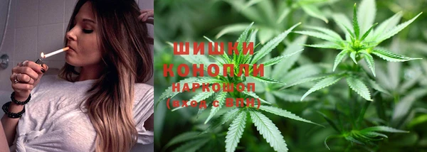 стафф Каменногорск