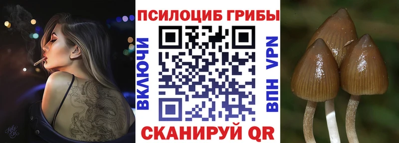 Псилоцибиновые грибы GOLDEN TEACHER Купить где Нерчинск